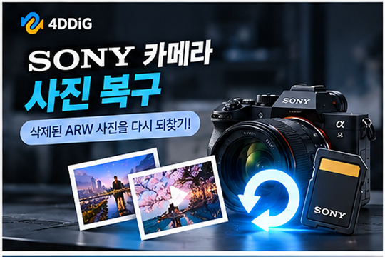 소니 카메라 사진 복구