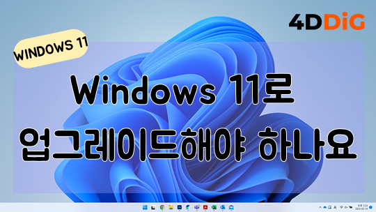 윈도우 11로 업그레이드해야 하나